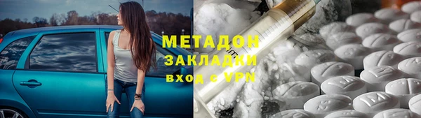 прущие грибы Россошь
