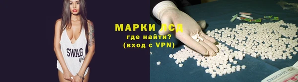 прущие грибы Россошь