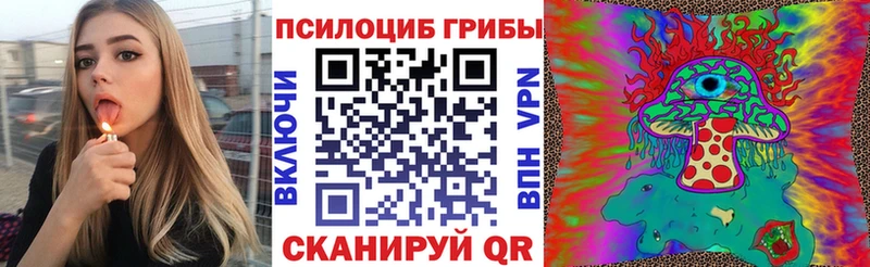 Купить  Саратов  Галлюциногенные грибы прущие грибы 